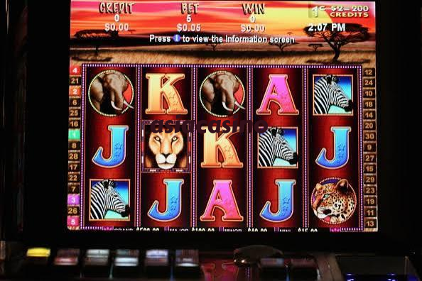 asiacasino featured game showcase